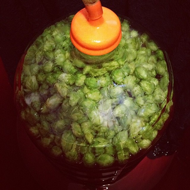 dry hop