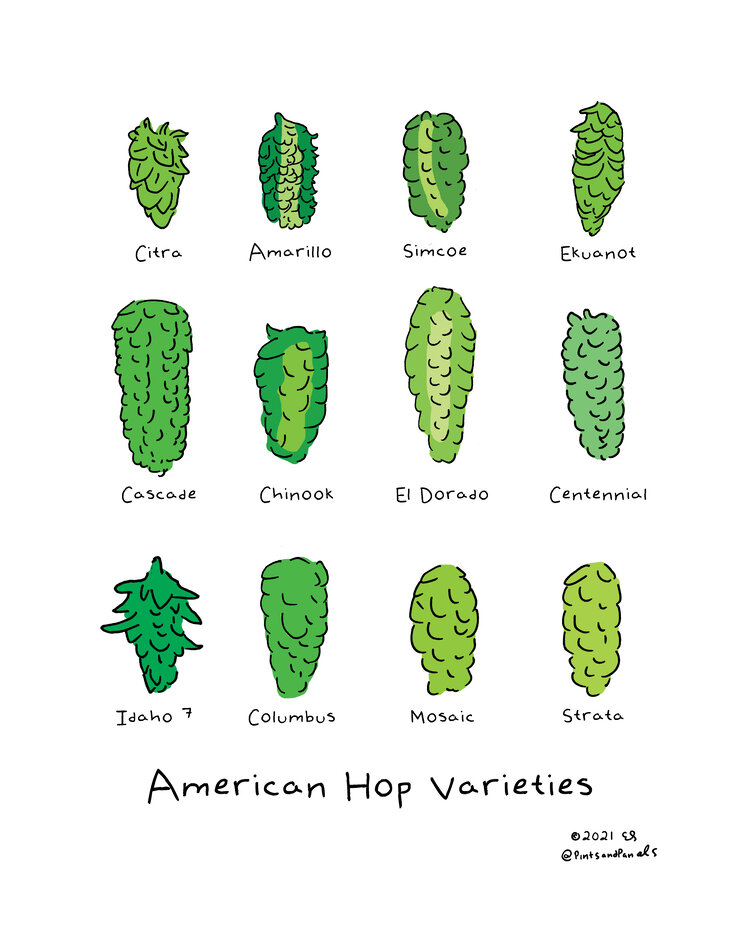 pintsandpanels hop varieties